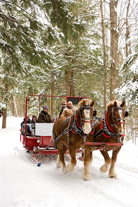 Sleigh Ride in the Snow | MY PERFECT CHRISTMAS | Pinterest