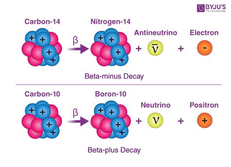 Describe What Happens When Beta Decay Occurs