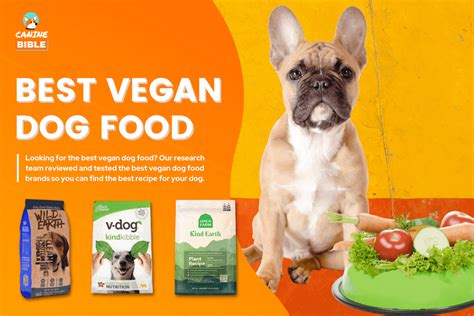 Best Vegan Dog Food Reviews: Top Brands 2024 (+Vegetarian Kibble ...