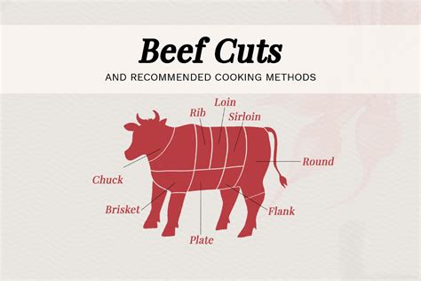 Beef Cuts: Loin, Rib, Sirloin - Guide To Different Cuts of Beef