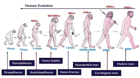 When Does Evolution Occur