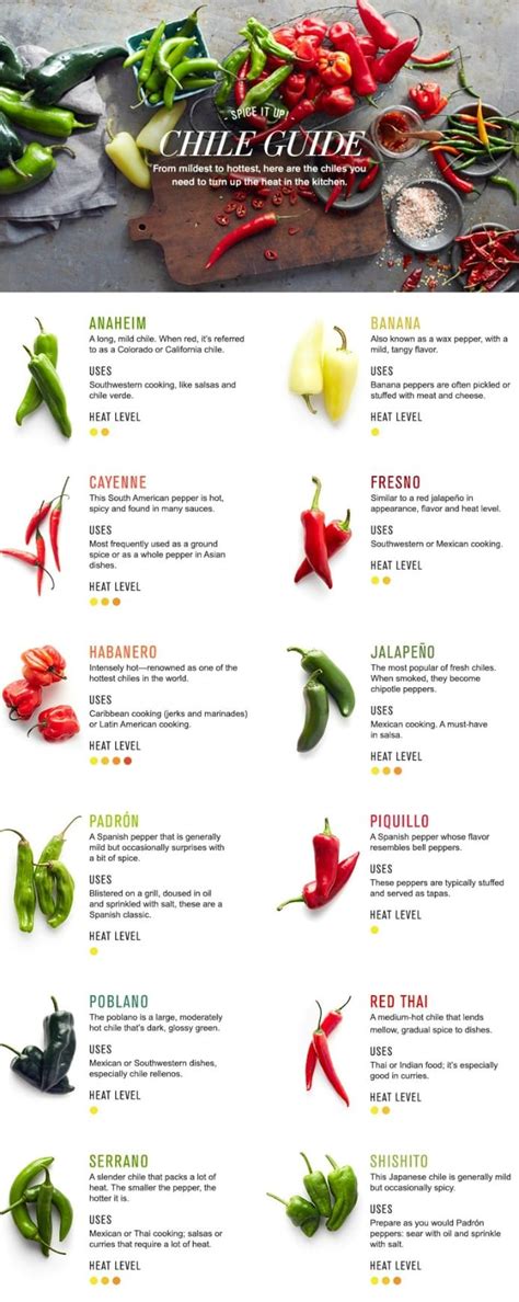 12 Types of Chili Pepper and How to Cook with Them