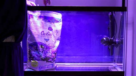 Setting Up 30 Gallon Saltwater Aquarium - YouTube