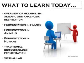 Classical Biotechnology: FERMENTATION | PPT