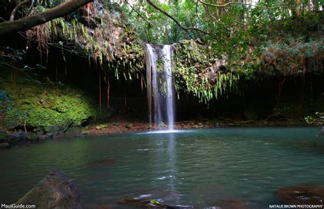 Twin Falls Maui | Photos, Video & Local Tips for the Road to Hana