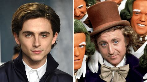 Timothee Chalamet Willy Wonka Cast - Anak Instristans Blog