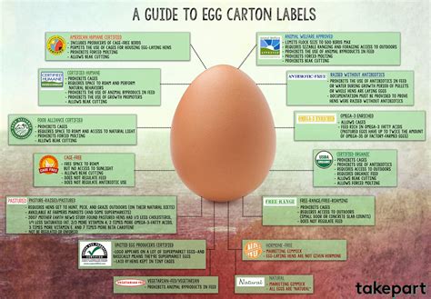 The Art of Unscrambling Egg Carton Labels {Infographic} – The Green Divas