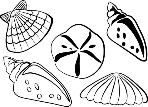 shells clipart black and white 10 free Cliparts | Download images on ...