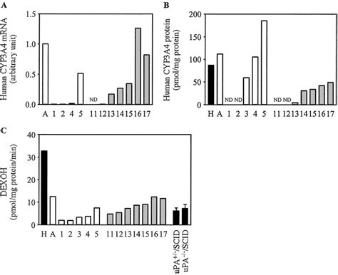 Human CYP3A4 expression in the chimeric mice. Relative expression ...