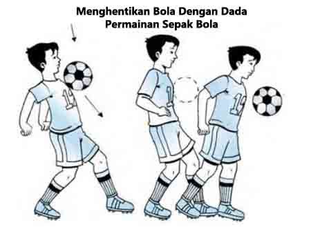 Teknik Dasar Sepak Bola