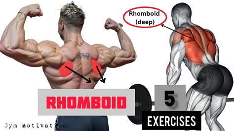 Best 5 Exercises "RHOMBOID" Workout - SHREDDED BODY - YouTube