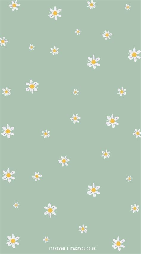 33 Cute Spring Wallpaper Ideas : Daisy Mint Green Wallpaper I Take You ...