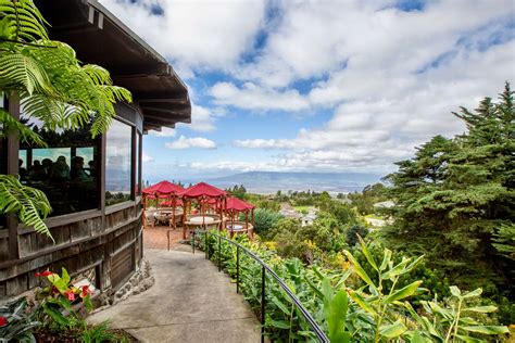 Kula Lodge Maui - Food, Lodging, Shopping, Art, Spa and Much More