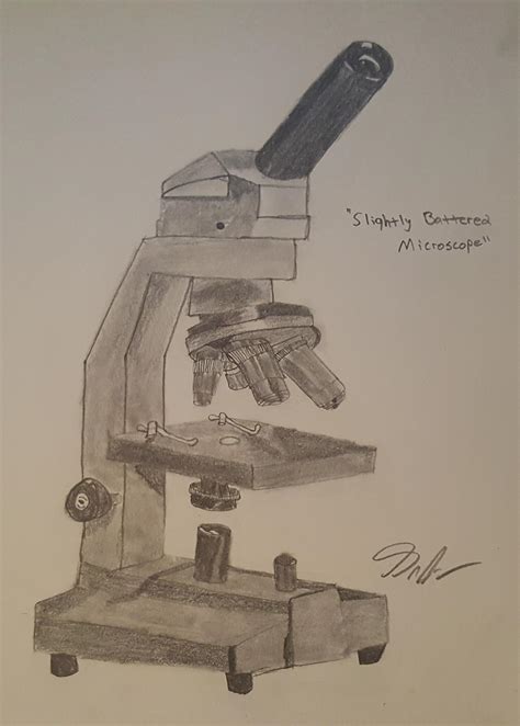 Microscope Drawing, sketching and Value Practice : learnart