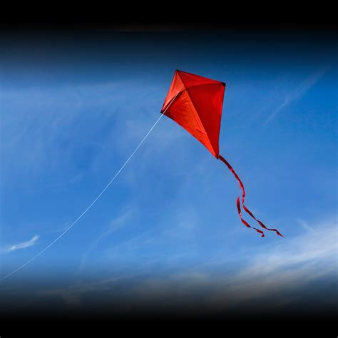 INTERNATIONAL KITE DAY - January 14, 2024 - National Today