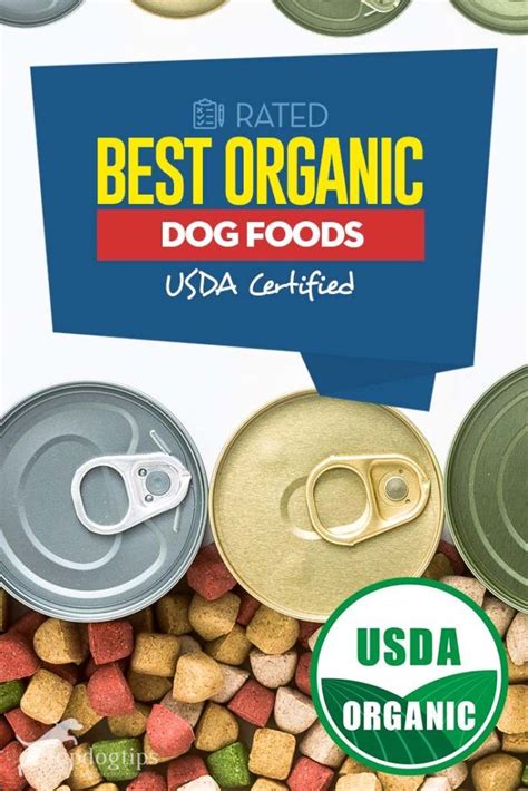 Best Organic Dog Food Brands in 2020 | Organic dog food, Dog food ...