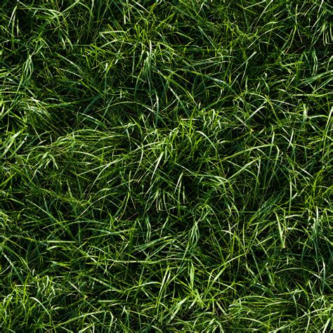 HIGH RESOLUTION TEXTURES: Seamless long green grass ground texture