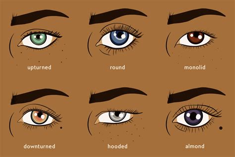 How To Draw Almond Eyes at How To Draw