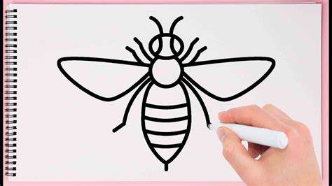 How To Draw A Honey Bee Step By Step - Design Talk