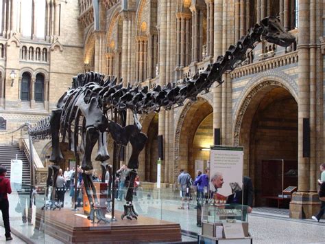 Dippy the Dinosaur Leaves London’s Natural History Museum After 112 Years