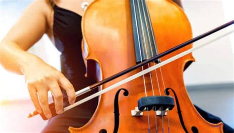 How to Hold a Cello Bow: In-Detail Beginner's Guide