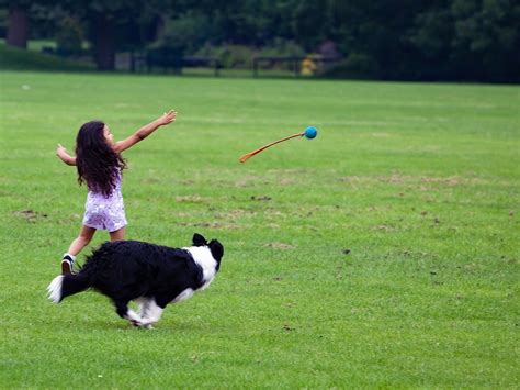 Nuôi thú cưng trong nhà - Nên hay không đối với các gia đình có trẻ nhỏ?