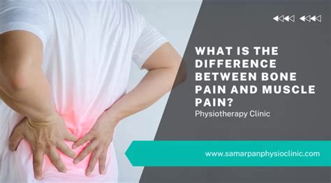 What Is The Difference Between Bone Pain and Muscle Pain?