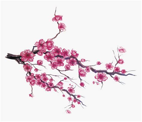 Japan Cherry Blossom Download - Drawing Japanese Cherry Blossom, HD Png ...