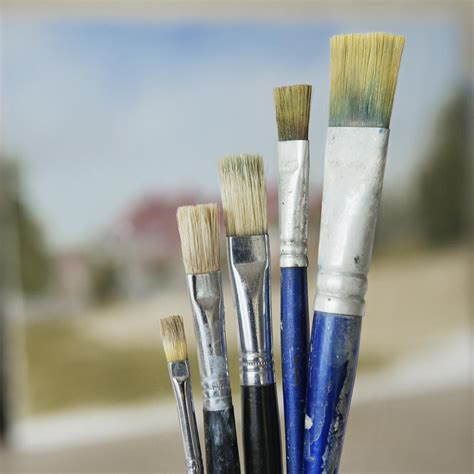 Know Your Painting Brush Hairs and Bristles