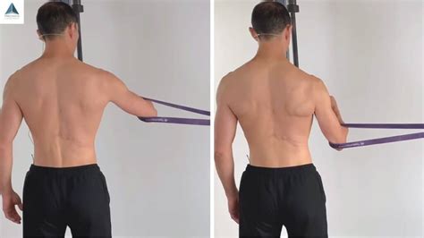 Lower Trapezius Activation Exercise for Pain-Free Mobility - Precision ...