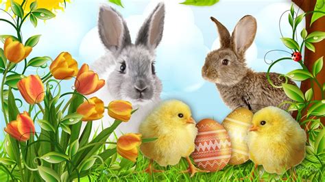 🔥 Free download 389783 easter bunnies and chicks pjpg [969x545] for ...