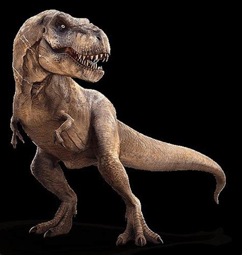 Tyrannosaurus Rex: Quick Facts - Owlcation