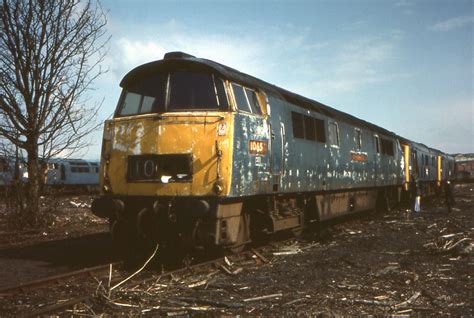 CLASS 37 WESTERNS ON A SCRAP LINE | Abandoned train, Train pictures ...