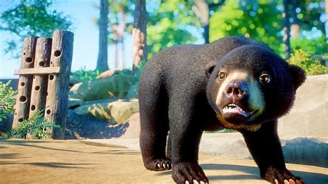 Sun Bear Habitat Speed Build | Planet Zoo Southeast Asia Animal Pack ...