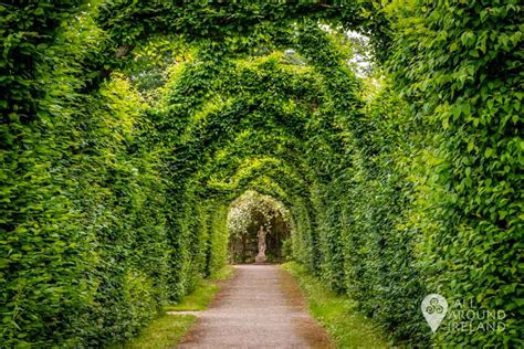 Birr Castle Gardens - a springtime delight • All Around Ireland