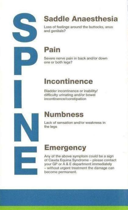 Cauda Equina Syndrome – Lane & Glassman