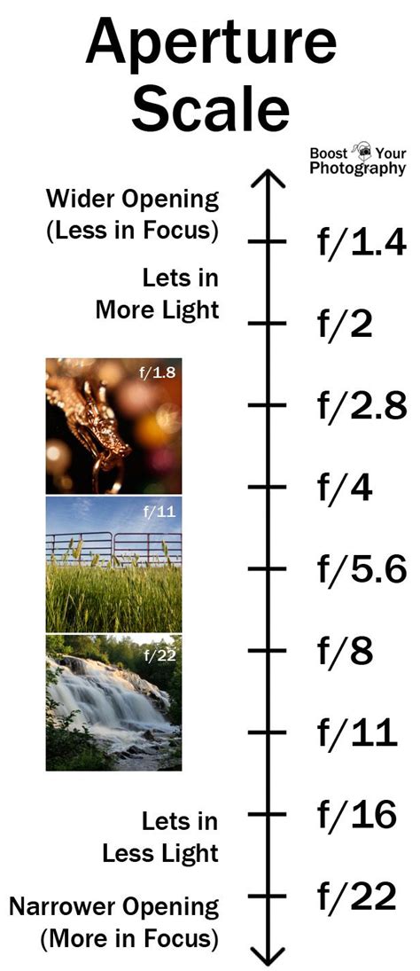 Aperture | Photography camera, Dslr photography tips, Learning photography