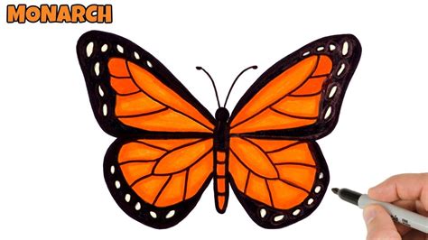 How to Draw Butterfly Easy | Monarch butterfly drawing and coloring ...