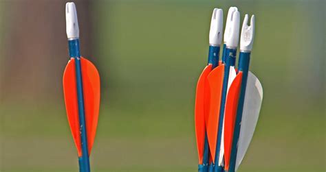 Arrow Spine Chart: How to Find Your Arrow Spine - Archery for Beginners