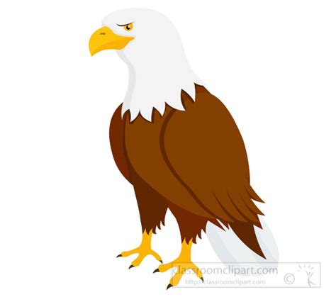 Animal Clipart - Bird Clipart - bald-eagle-clipart-725 - Classroom Clipart