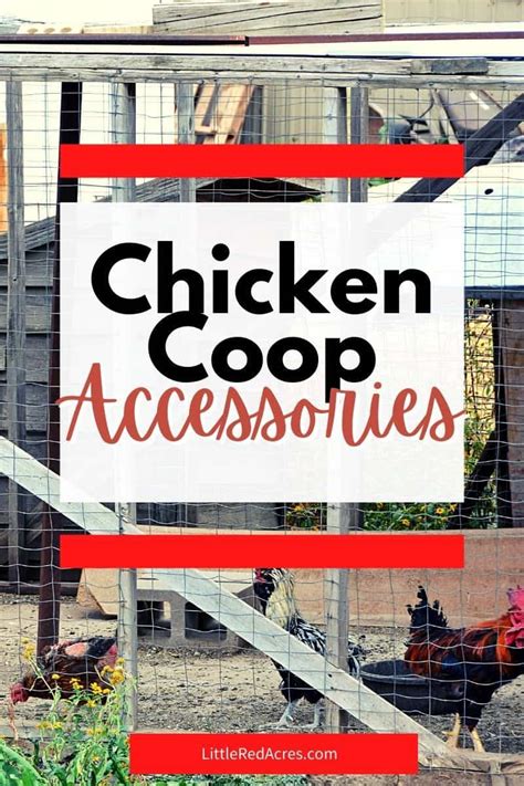 Chicken Coop Accessories