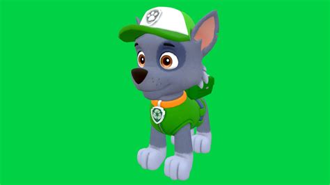 Rocky - Paw Patrol - Buy Royalty Free 3D model by Thiago Coser (@thiago ...