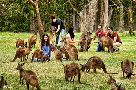 Gorge Wildlife Park - Aus Weekend Escapes