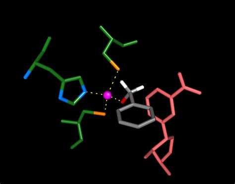 Molecular Structures for Enzyme Mechanisms (UCSB: Chem161)