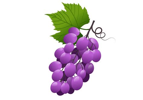 Free Illustration with Bunch of Grapes Graphic by americodealmeida ...