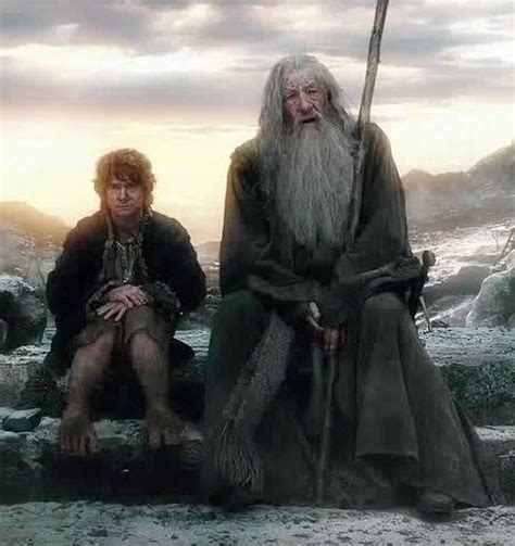 Pin by Sabrina on Meus gostos | The hobbit, Lord of the rings, Gandalf ...