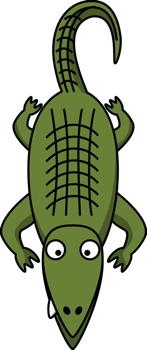 Alligator clipart cartoon, Alligator cartoon Transparent FREE for ...