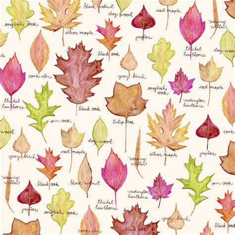 Making a Leaf Collection - Forestrypedia