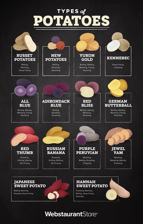 Types of Potatoes: Varieties, Uses, Cooking Suggestions, & More