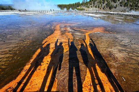 Maximize Your Big Sky Experience With A Guided Tour Of Yellowstone ...